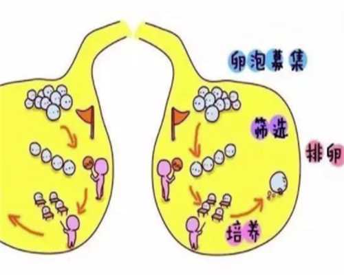 国内供卵中心地址,2025兰州三代试管助孕生孩子费用分析，看完明细就知道要多少钱了
