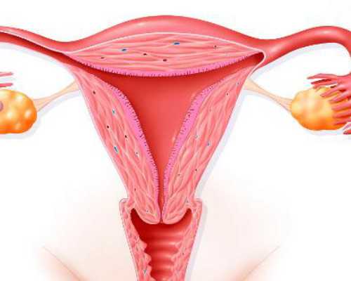 国内供卵一次多少钱,定西私人医院第三代试管婴儿费用一览